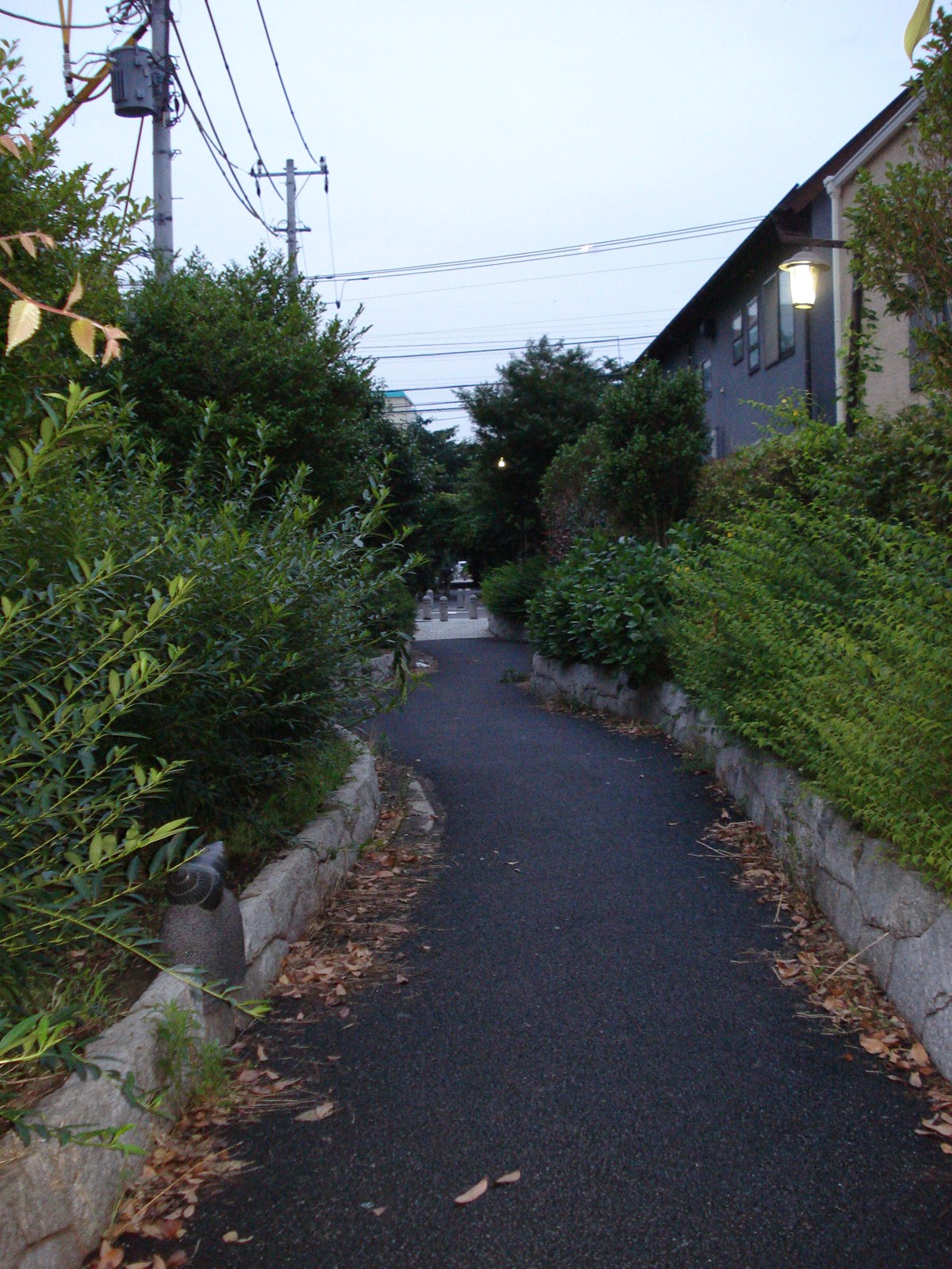 Momozonogawa koenji.JPG