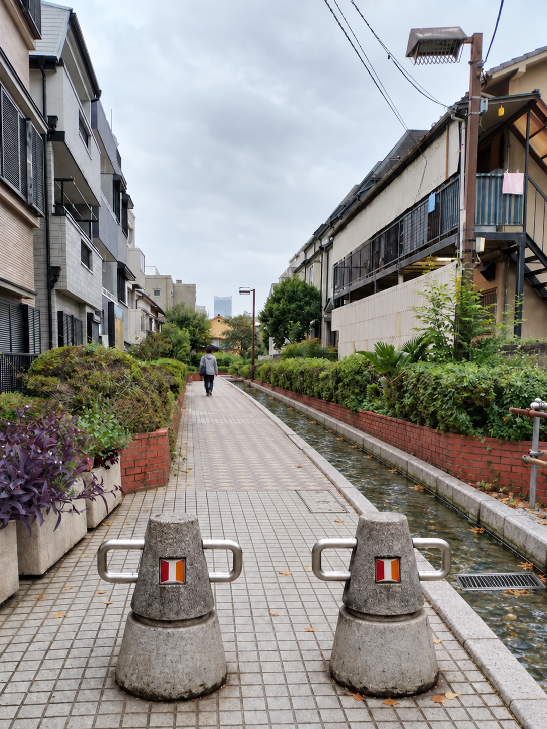再活用後を描いた架空の桃園川緑道。植栽を残した通路の脇に細い水路が流れている